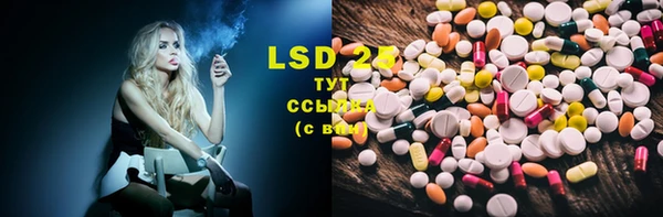 PSILOCYBIN Алзамай